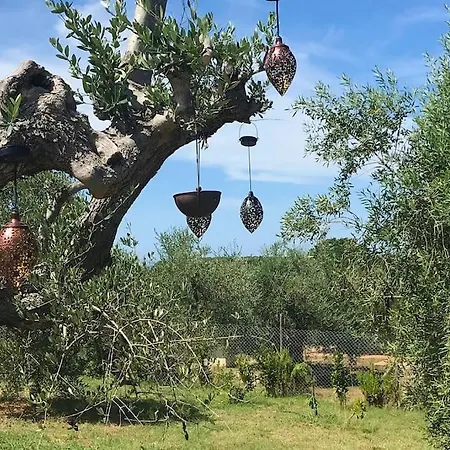 Via Bolgherese