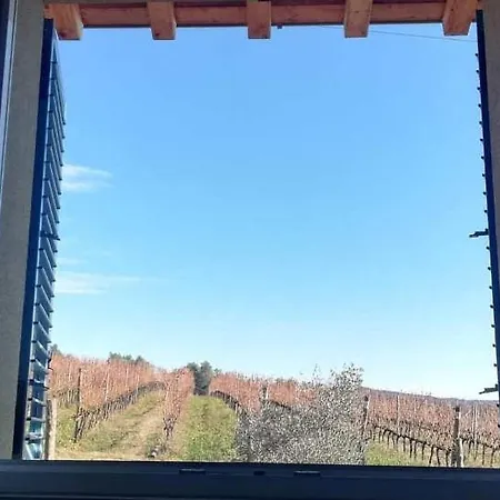 Villa Via Bolgherese *